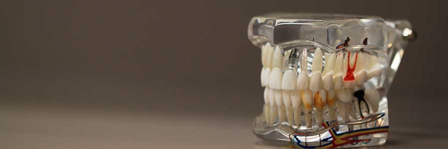 Курсы повышения квалификации зубных техников